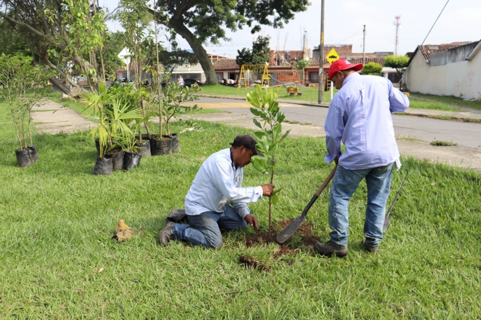 El barrio Chapinero reverdece con la siembra de 100 árboles de diferentes especies