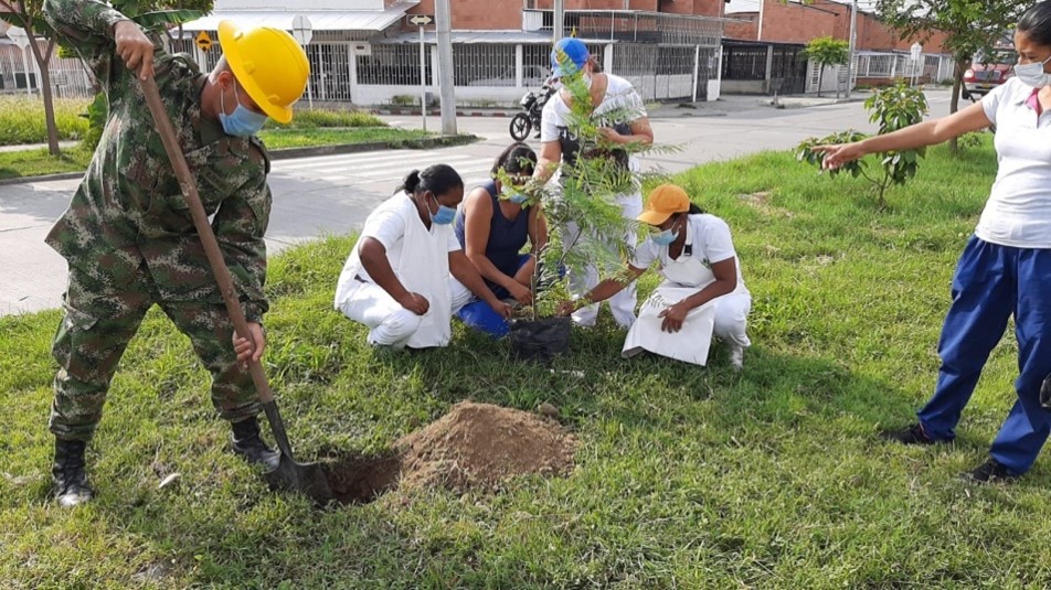 En el sector La Carbonera, la Dirección de Medio Ambiente sembró 100 nuevos árboles nativos
