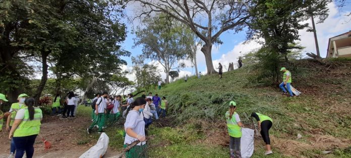 Gobierno de Cartago continúa con la siembra de árboles