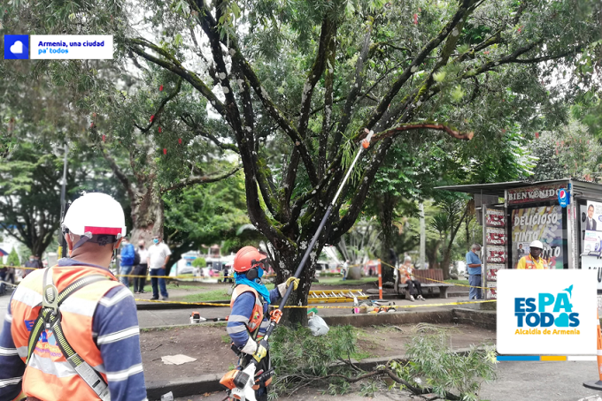 "Incremento en el índice de calidad ambiental urbana es gracias a las gestiones de intervención y recuperación del parque Fundadores": CRQ