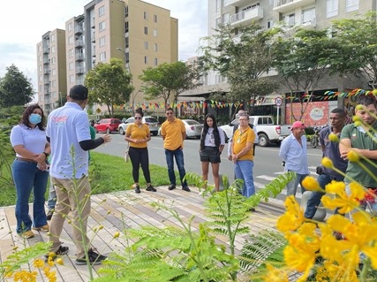 Palmira reverdece con la estrategia de siembra que implementa la administración municipal