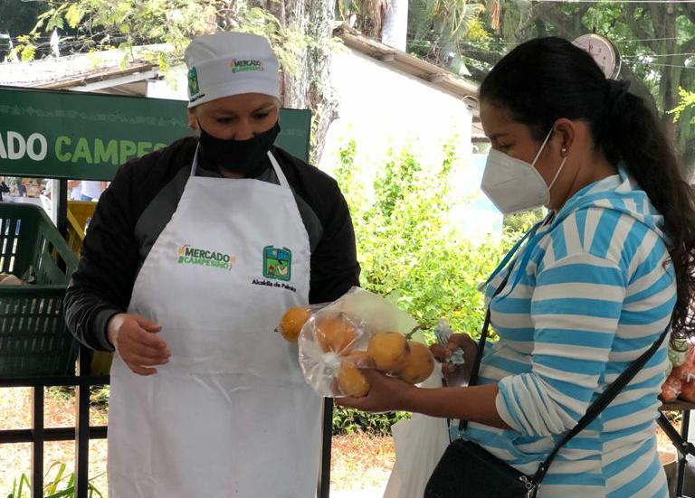 ¡Regresa el Mercado Campesino con productos de calidad para toda la comunidad!