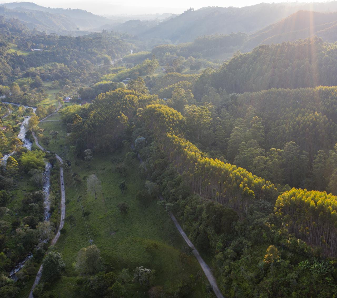 Alcaldía liderada por José M. Ríos destinó $1.300 millones para acciones de conservación del Río Quindío