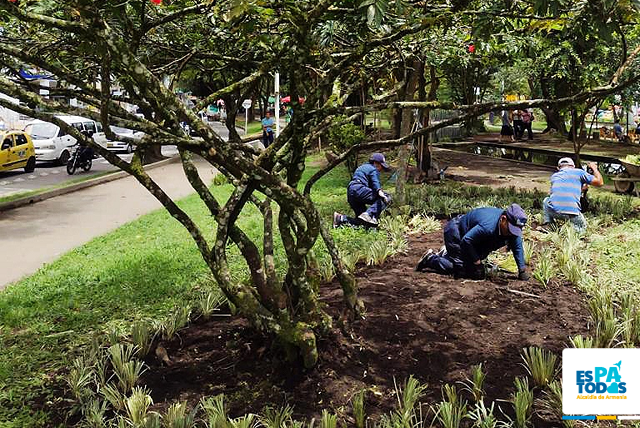 “El parque Fundadores de Armenia lo hemos recuperado entre todos; seguimos avanzando en este gran propósito”: Alcalde