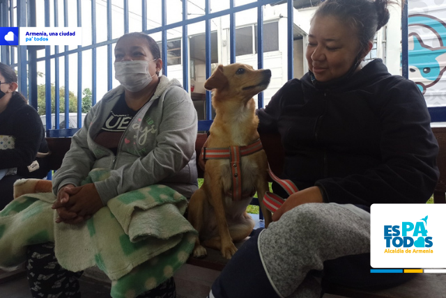 Inscripciones abiertas para esterilizaciones gratuitas de mascotas