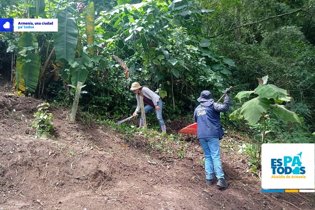 Alcaldía instalará huerta medicinal y de hortalizas en el barrio Las Palmas