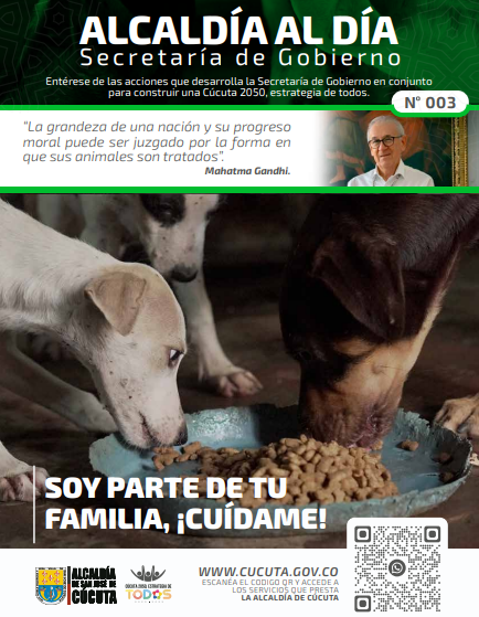 EDICIÓN 03 - 2022 »