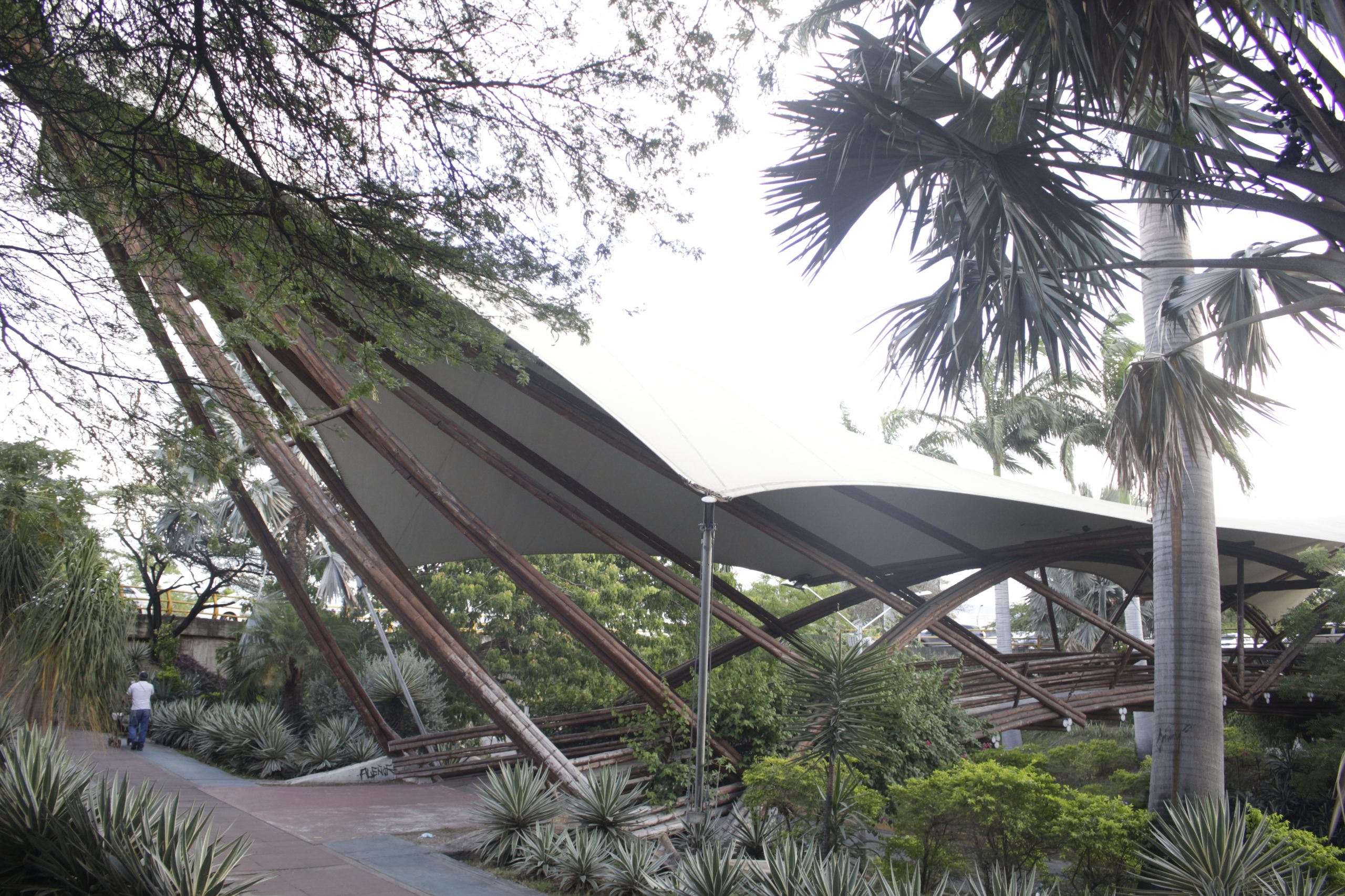 ALCALDÍA DE CÚCUTA RESTAURARÁ EL PUENTE DE GUADUA ARNULFO BRICEÑO »
