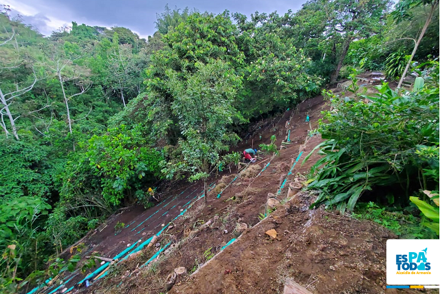 Alcaldía destinó $1.300 millones para obras de bioingeniería que mitigarán el riesgo de derrumbes