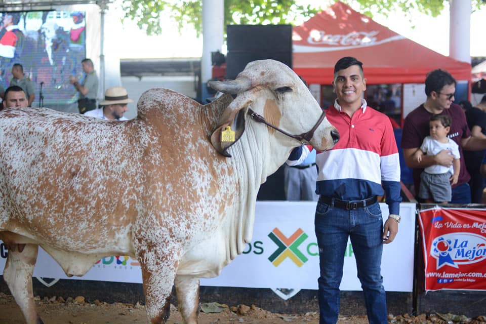 FERIA AGROPECUARIA Y EQUINA MARCÓ UN REPUNTE EN LA ECONOMÍA COMERCIAL Y RURAL DE CÚCUTA »