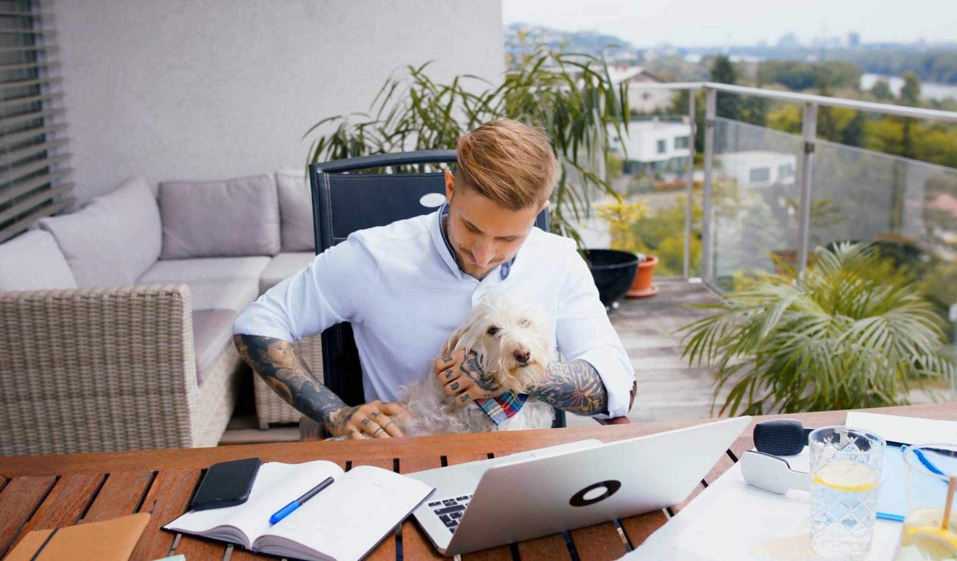 'Buscamos una agencia de marketing completa y con experiencia, y la encontramos', afirman en Wolves Legacy
