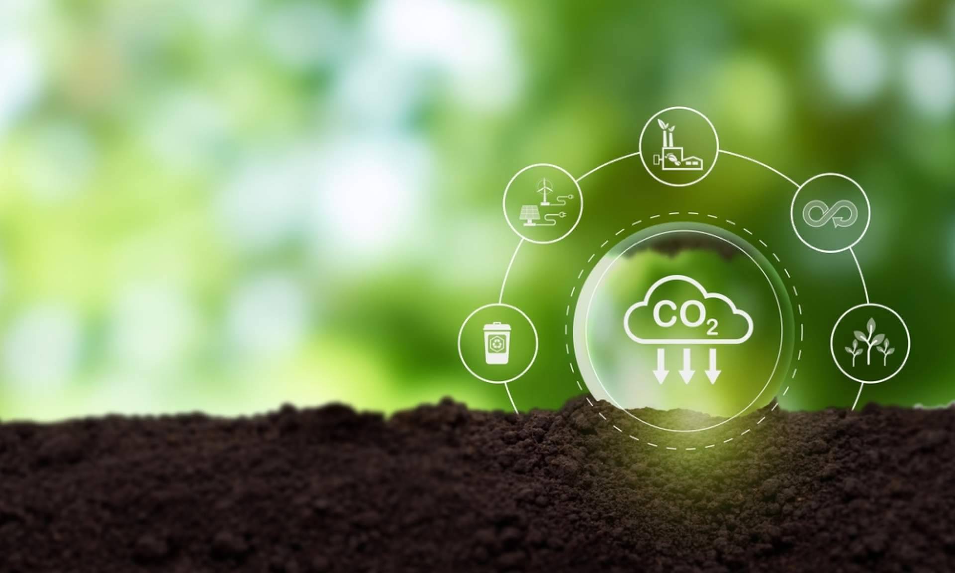 Llevar a las pymes hacia la neutralidad de carbono es el gran reto de Grupo Promerica