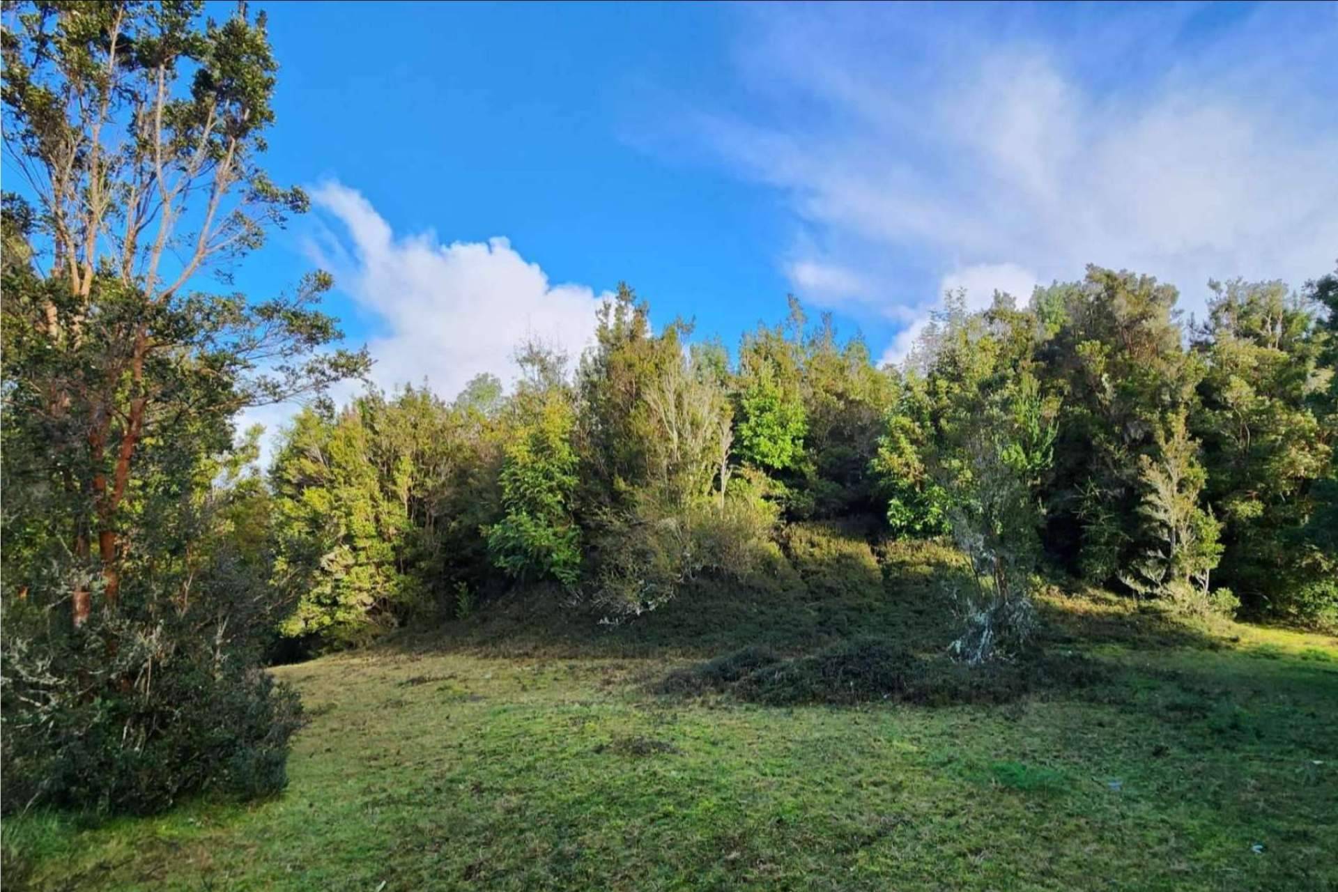 Inversión inmobiliaria en Chiloé por su potencial turístico y cultural