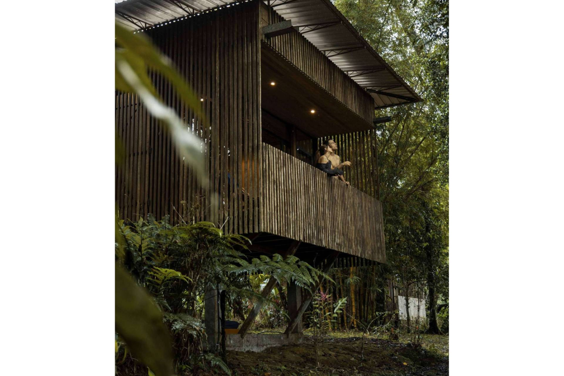¿En qué consiste el retreat center Hamadryade Lodge?