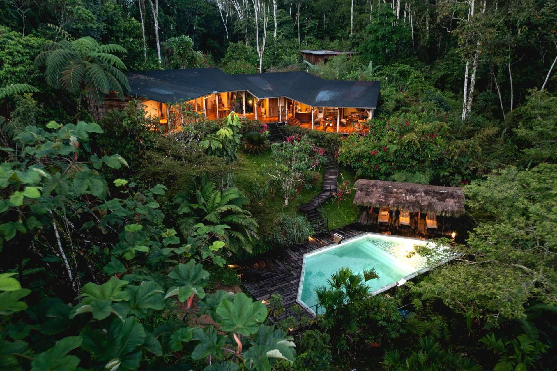Hamadryade Lodge organiza actividades para explorar el Amazonia