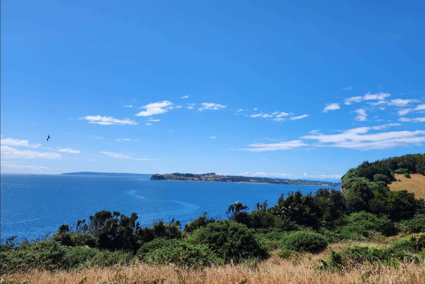 Zonas para comprar una parcela en Chiloé. Desde la costa hasta el interior de la isla